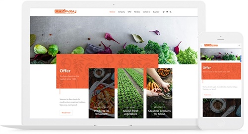 外贸-食品-蔬菜-商贸响应式网站模板