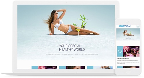 美观大气的英文网站模板，外贸养生保健响应式网站模板。